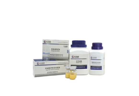 革兰氏染色液试剂盒 CM1001
